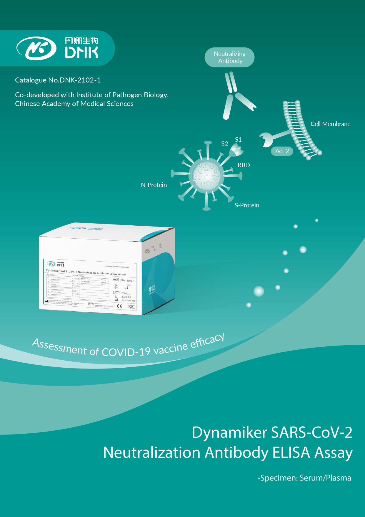 Flyer-DNK-2102-1-Dynamiker SARS-CoV-2 Neutralization Antibody ELISA Assay_page-0001.jpg